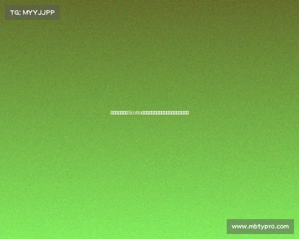 球队策略揭秘：Scotto合约中的第三年选项如何影响哈滕未来发展